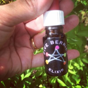 5 Berries Elixir