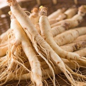 Siberian Ginseng